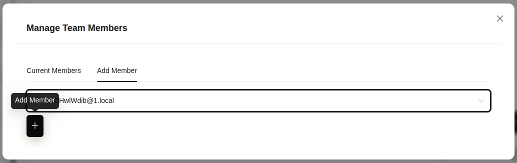 Team members management form - "Current Members" and "Add Member" tabs